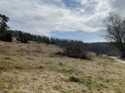 25-03-22 10-34-43 2505